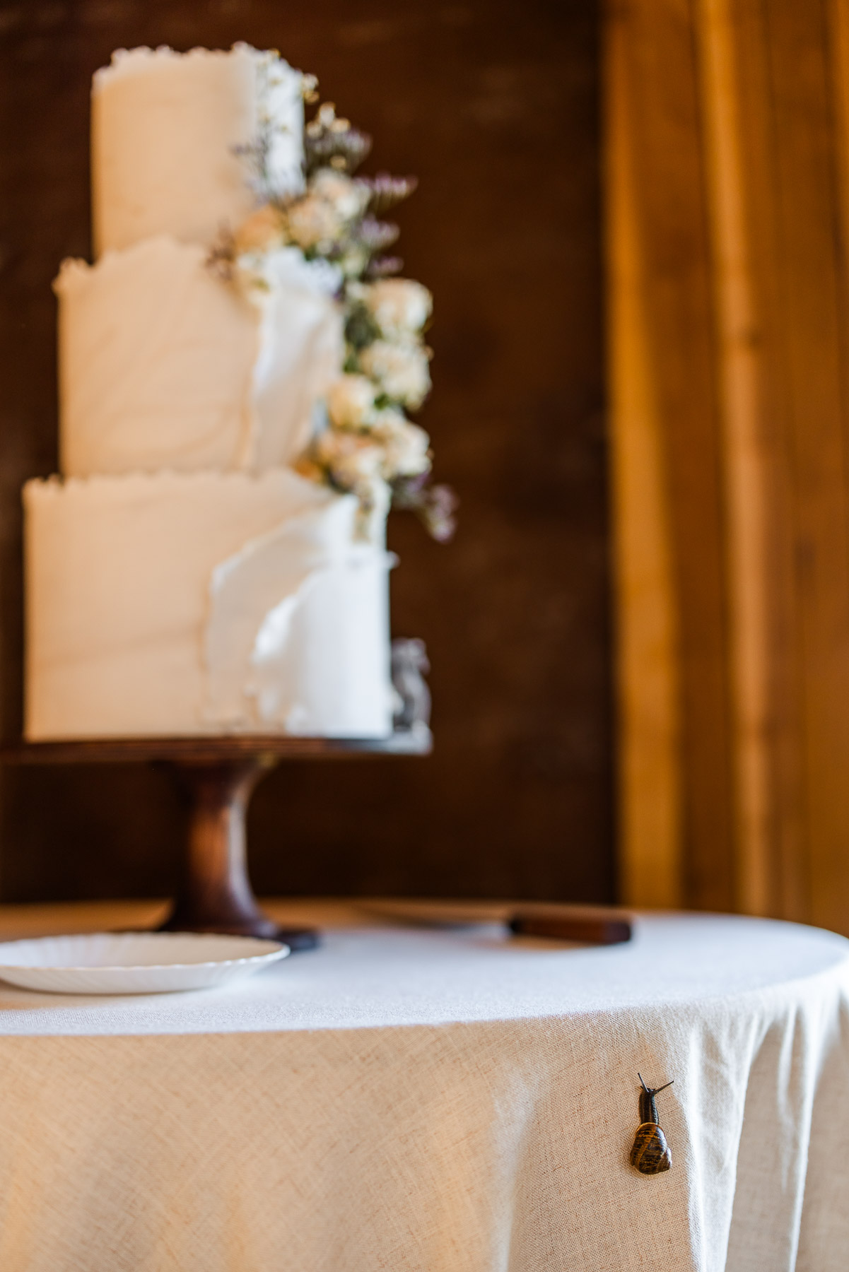 A snail climbing up towards the cake 