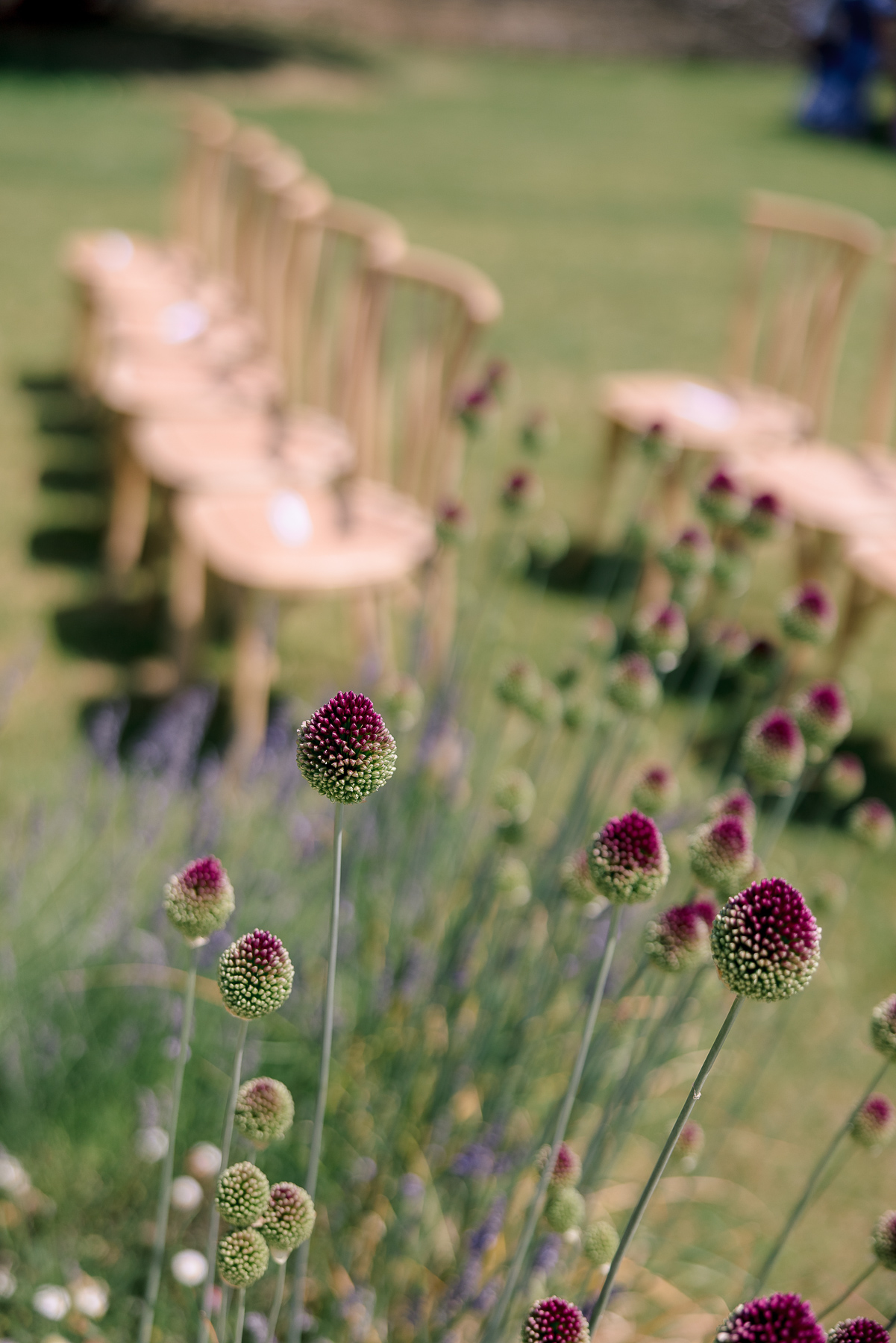 Planting at Ivy lodge 