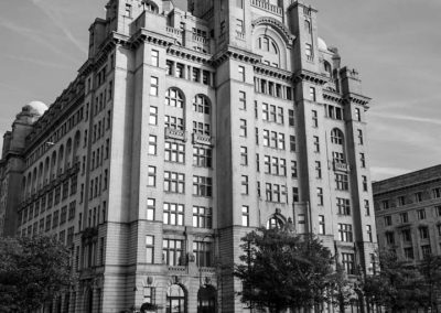 The liver building