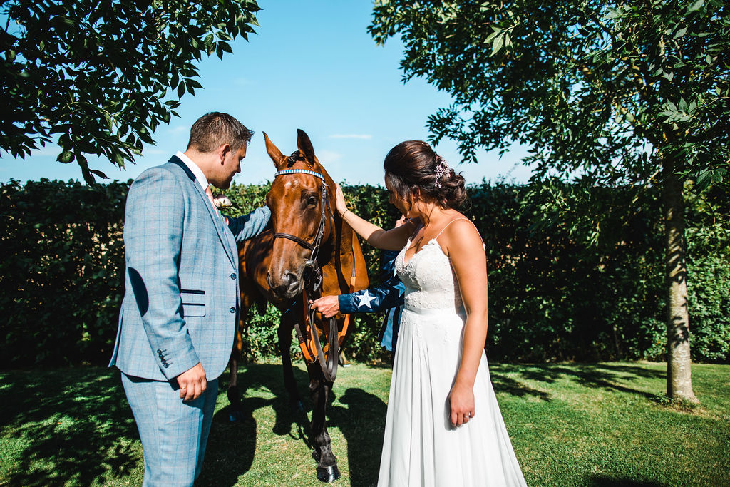 horse wedding